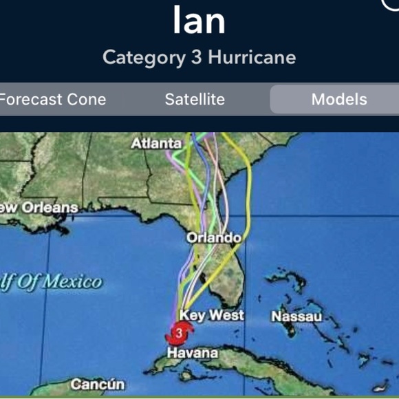 SORRY PLS EXPECT DELAYS - Picture 2 of 3